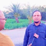 কুয়েতের মরুভূমিতে লাল-সবুজের বিপ্লব